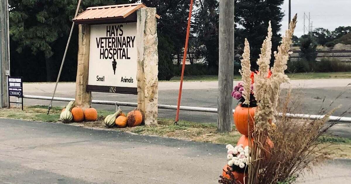 Pet Doctor in Hays, KS Hays Veterinary Hospital