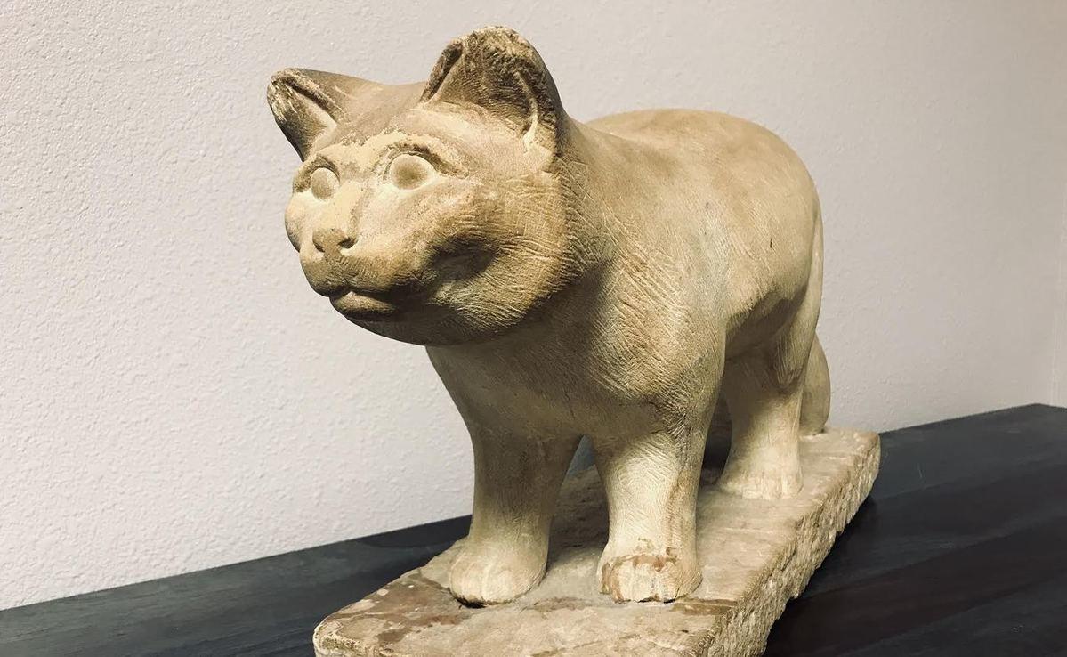 Patient Resources Hays Veterinary Hospital